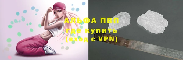 стафф Беломорск