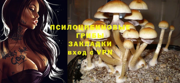 МДМА Белокуриха